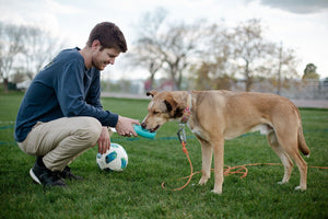 Portable Dog Water Bottle